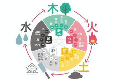 五行健康|五行説の概要と人体との関係 